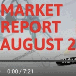 august market update anaheim hills 2020